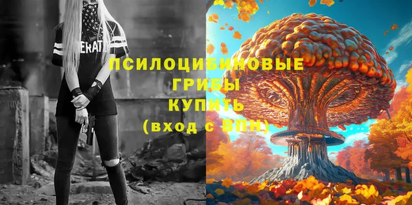 молекула духа Алзамай