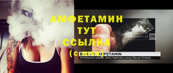 молекула духа Алзамай