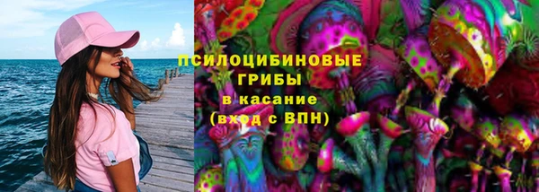сатива Алексеевка