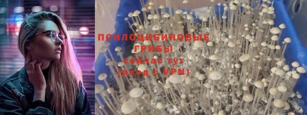 молекула духа Алзамай